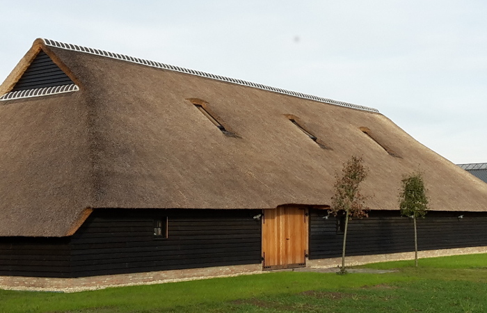 nieuw rieten dak Lochristi